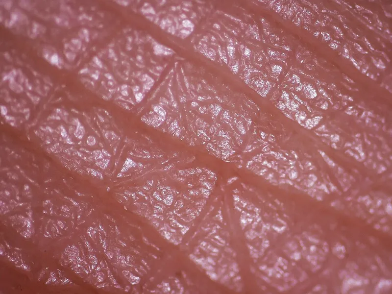 Your City Skin Has a Hidden Ecosystem—And Urban Spas Are Finally Treating It